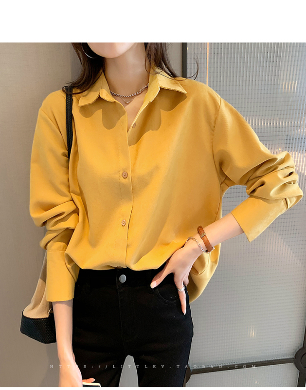 White shirt women's early spring new design niche top loose long-sleeved layered shirt bottoming shirt trendy