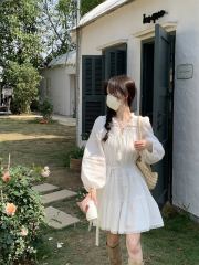 Plus size women's French gentle style commuter long-sleeved dress women's new waist slimming A-line short skirt