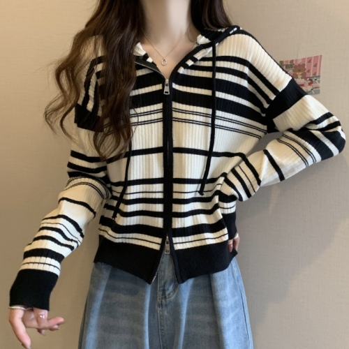 Large size hooded drawstring double zipper sweater jacket autumn design loose striped top women's fashion