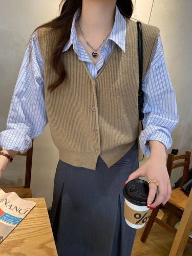 Knitted vest vest for women's outer wear spring and autumn new style vest layered with foreign style fashionable sleeveless sweater jacket