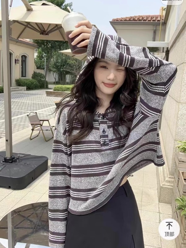 Thirteen-line striped hooded loose sweater for women early autumn new style lazy little short top trendy