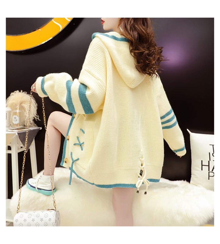 Spring and Autumn New Style Hooded Lazy Sweater Knitted Cardigan Jacket Women's Loose Net Red Shirt Trendy Top