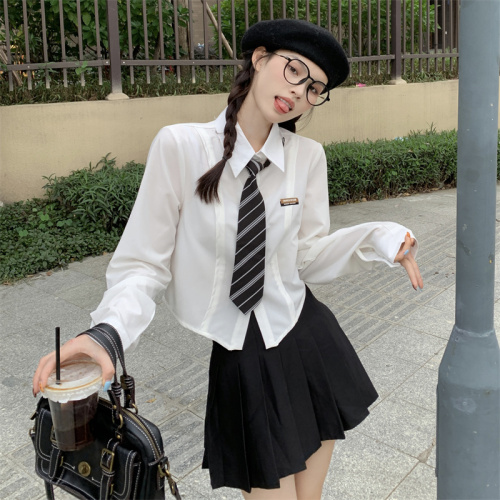College style long-sleeved shirt women's design niche spring and autumn new polo collar slim short niche shirt trend