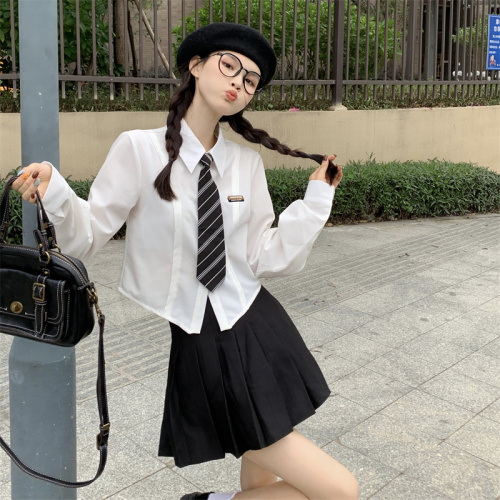 College style long-sleeved shirt women's design niche spring and autumn new polo collar slim short niche shirt trend