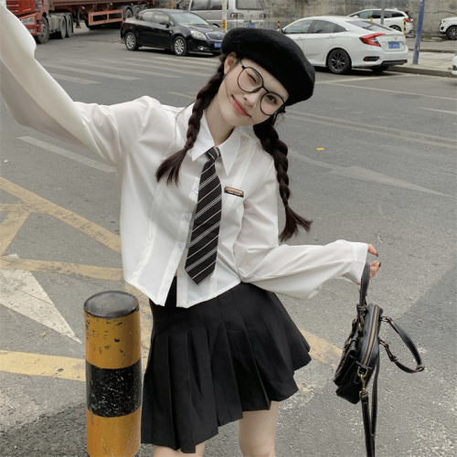 College style long-sleeved shirt women's design niche spring and autumn new polo collar slim short niche shirt trend