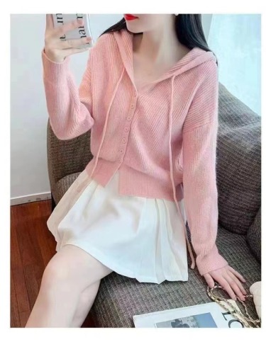 Sweater Pullover Simple Korean Style Versatile Casual Hooded Sweater Autumn Niche Hot Girl Pure Desire Knitted Sweater