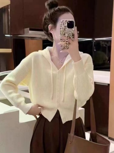 Sweater Pullover Simple Korean Style Versatile Casual Hooded Sweater Autumn Niche Hot Girl Pure Desire Knitted Sweater