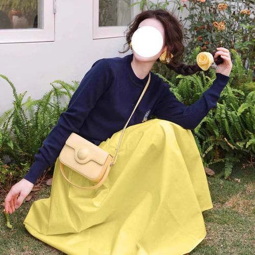 High-waisted a-line skirt for women 2024 new spring and autumn umbrella skirt for small people, long skirt, slim and niche temperament