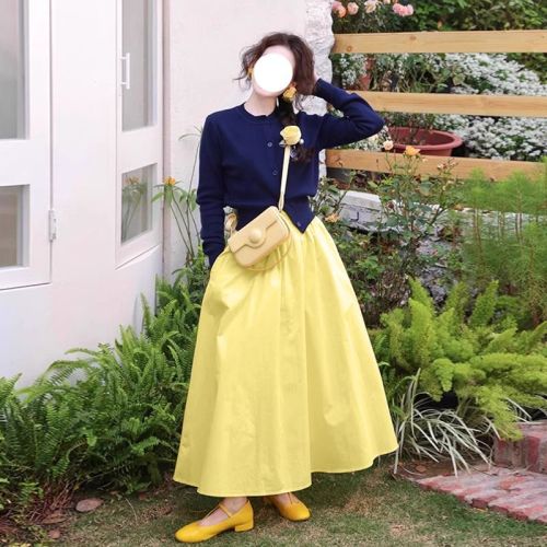 High-waisted a-line skirt for women 2024 new spring and autumn umbrella skirt for small people, long skirt, slim and niche temperament