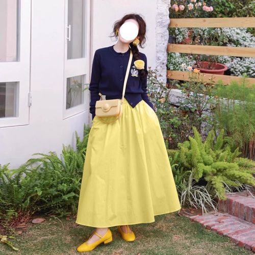 High-waisted a-line skirt for women 2024 new spring and autumn umbrella skirt for small people, long skirt, slim and niche temperament