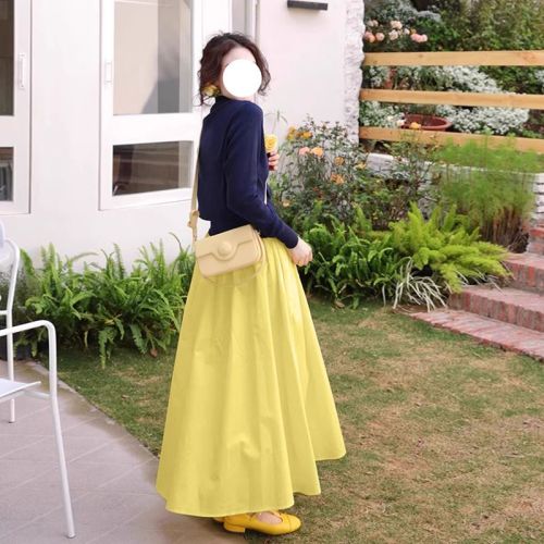 High-waisted a-line skirt for women 2024 new spring and autumn umbrella skirt for small people, long skirt, slim and niche temperament