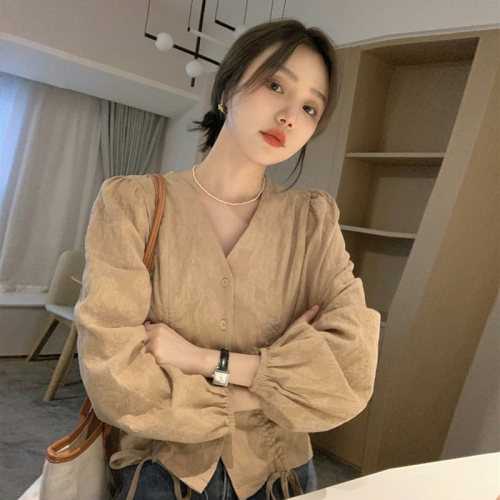 Spring and autumn long-sleeved shirt women's design niche new French style chic V-neck short top