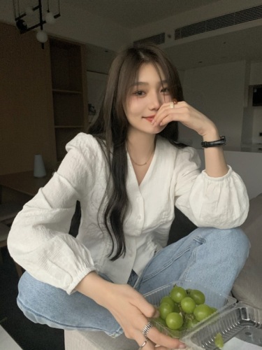 Spring and autumn long-sleeved shirt women's design niche new French style chic V-neck short top