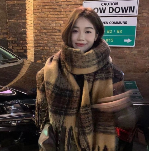 New Maillard imitation cashmere plaid scarf for women in autumn and winter thickened warm shawl dual-purpose solid color student scarf