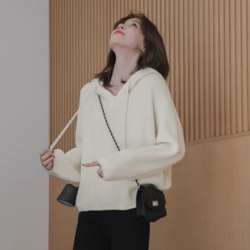 Xiaoguoli hooded sweater for women 2024 autumn and winter new fashion textured V-neck loose lazy style long-sleeved knitted