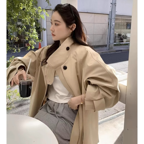 Korean chic autumn new retro British style stand-up collar design niche loose long-sleeved windbreaker jacket for women