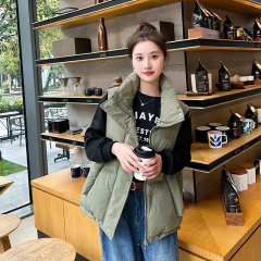 Real-shot 2024 New Arrival Women's Short Padded Cotton Vest with Stand Collar—Perfect for Petite Figures, Ideal as an Outer Layer, Featuring a Stylish Leather-Trimmed Design