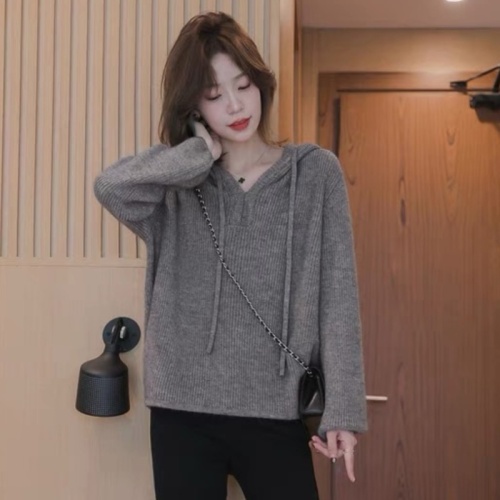 Xiaoguoli hooded sweater for women 2024 autumn and winter new fashion textured V-neck loose lazy style long-sleeved knitted