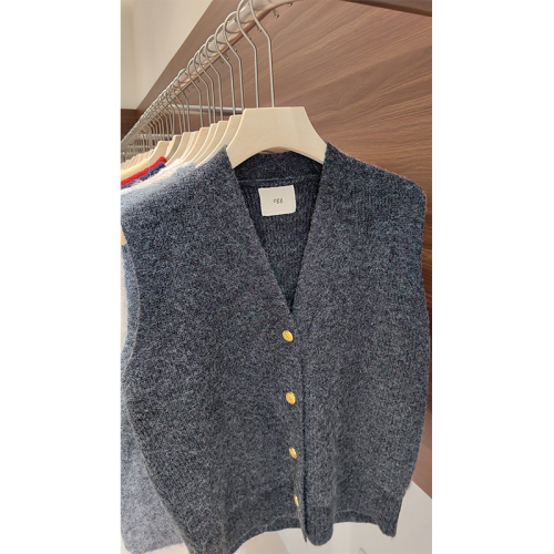 Korean high-end sweater vest for women 2024 new autumn soft and waxy loose layered wool knitted vest