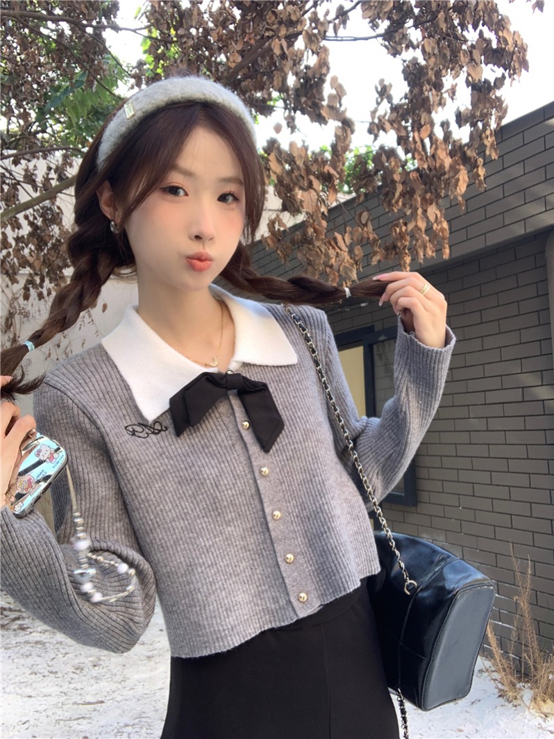 POLO領蝴蝶結毛衣開衫女冬季2024新款小個子寬鬆短款刺繡針織上衣