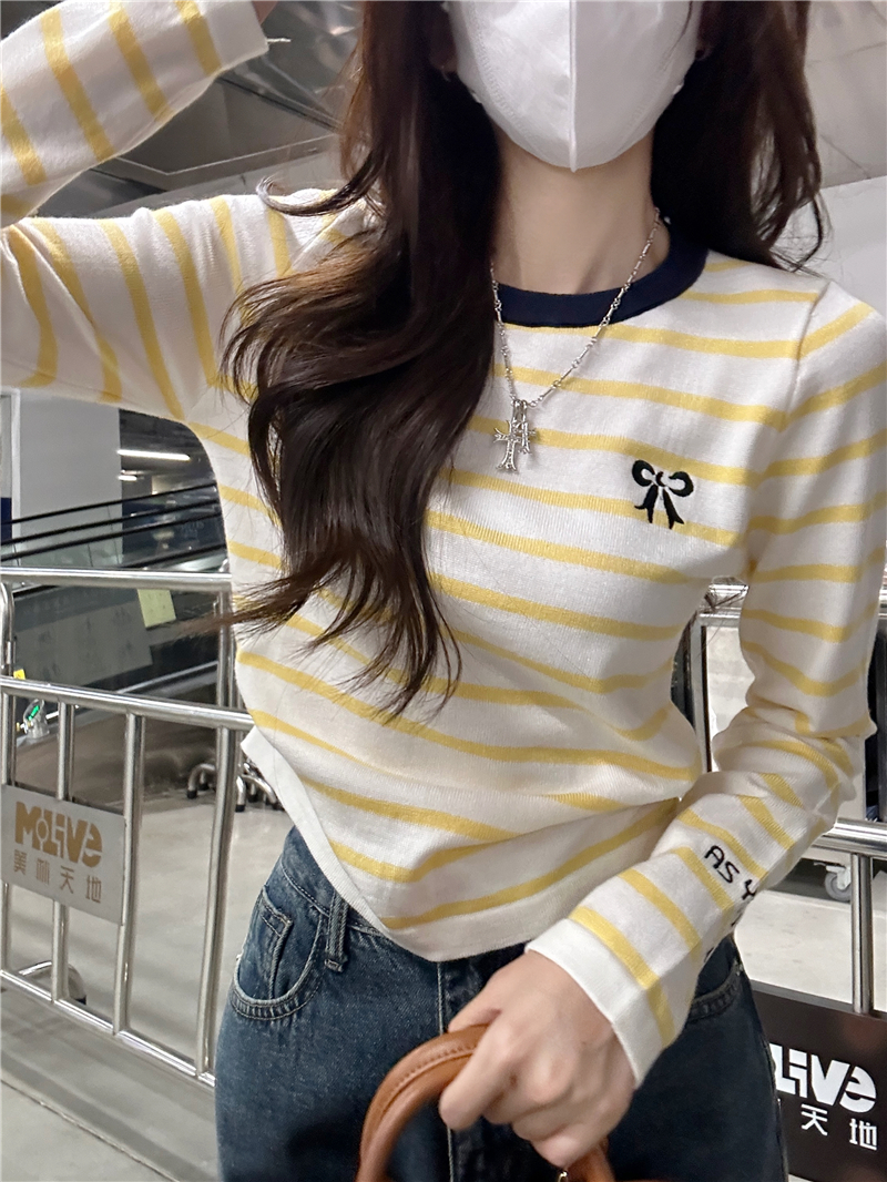 Real shot striped contrasting color embroidered long-sleeved T-shirt Korean style slim fit design niche top for women
