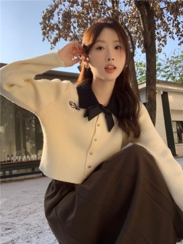 POLO Bowknot Cardigan for Women - Winter 2024 New Arrival - Loose Short Sleeve Embroidered Knit Top for Petite Women