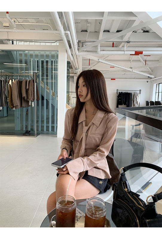 Striped shirt women's new early autumn design lazy style top long-sleeved French pink shirt