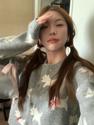 2024 Autumn New Butterfly Knot Puppy Embroidered Round Neck Knitted Sweater for Women Sweet Cardigan Outerwear