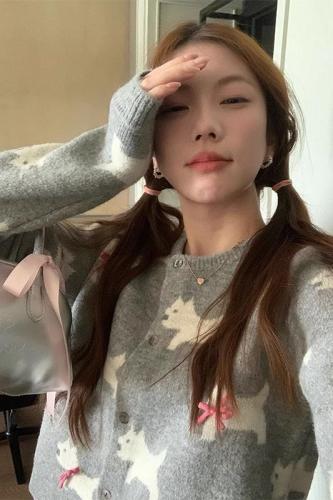 2024 Autumn New Butterfly Knot Puppy Embroidered Round Neck Knitted Sweater for Women Sweet Cardigan Outerwear