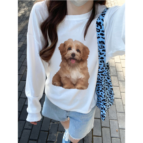 High quality pure cotton 200g 21 count combed precision printed autumn loose long sleeve T-shirt for women