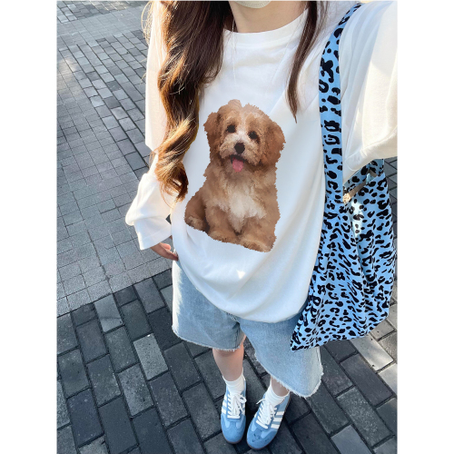 High quality pure cotton 200g 21 count combed precision printed autumn loose long sleeve T-shirt for women