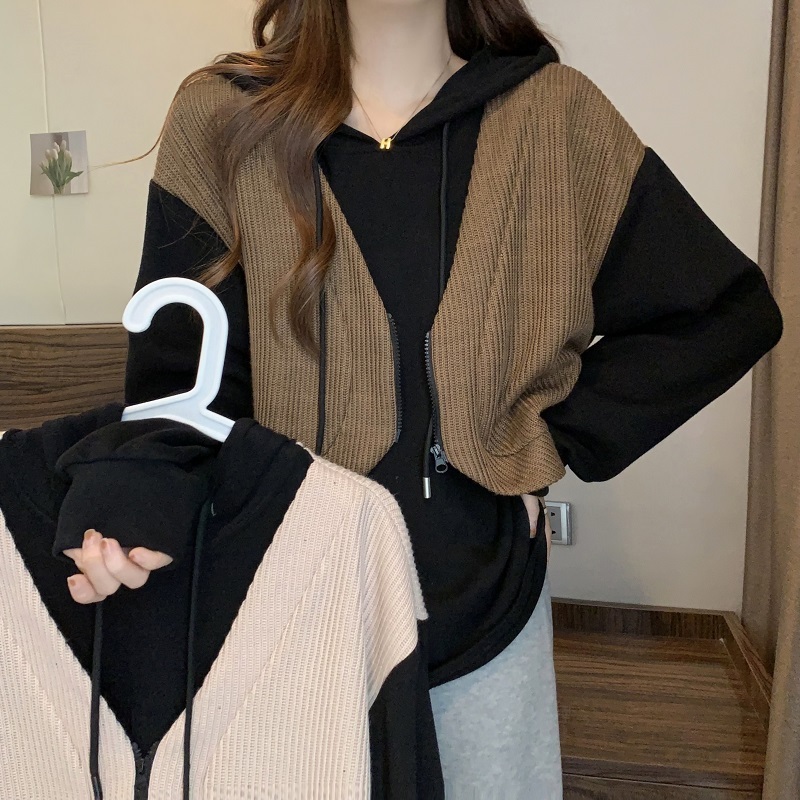 2024 fat mm plus size new fake two-piece sweatshirt women's loose long-sleeved tops and jackets trendy