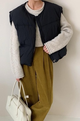 2024 Korean style autumn and winter new style vest for women, casual loose, small and short bread vest