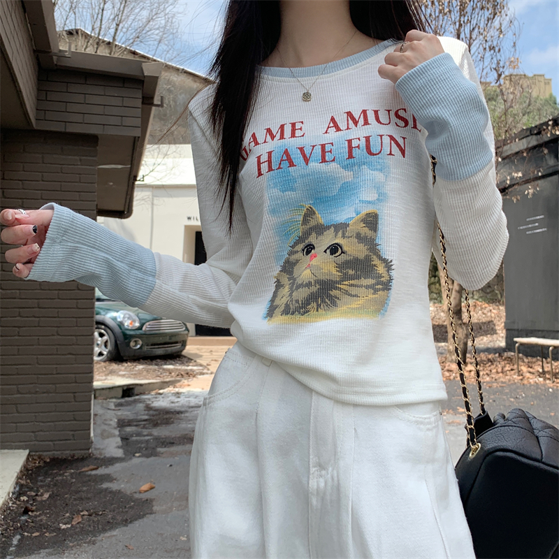 Real shot, real early autumn new top design, short, slim fit, cat print long-sleeved T-shirt for women