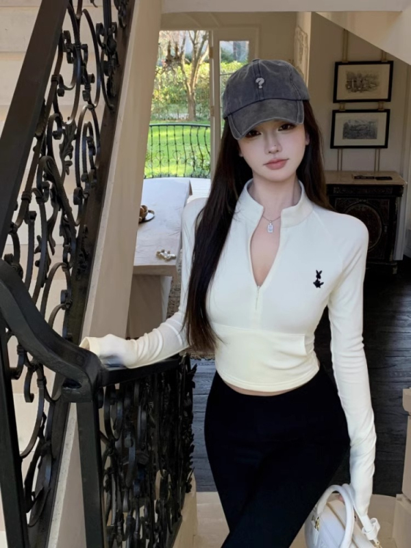 Slim-fitting embroidered long-sleeved T-shirt for women in autumn, waist slimming bottoming shirt, versatile stand-up collar short top