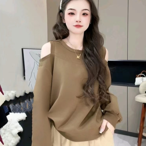 Autumn and winter new design niche loose slim sweatshirt women's casual slim round neck hollow long-sleeved top early autumn