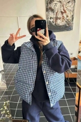 Vest women's new 2024 new autumn and winter Korean style blue plaid vest sleeveless top outer wear