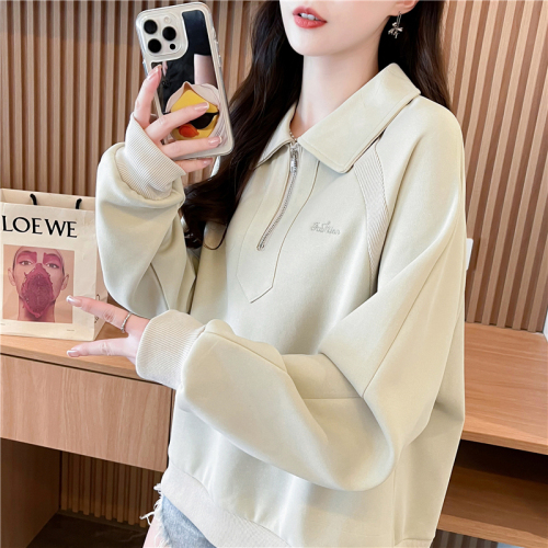 Actual shot of Korean style loose imitation cotton spliced ​​zipper embroidered thin hooded sweatshirt for women