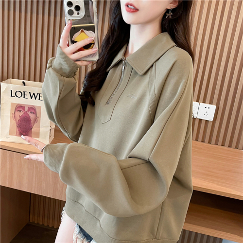 Actual shot of Korean style loose imitation cotton spliced ​​zipper embroidered thin hooded sweatshirt for women