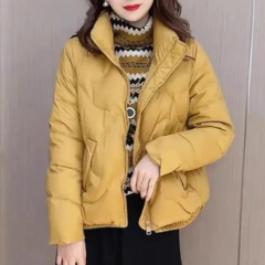 New autumn and winter cotton-padded clothes, short small women's tops, quilted warm down jackets
