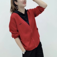 Official picture of spring and autumn new women's long-sleeved T-shirt top hooded fake two-piece splicing chic unique small shirt western style