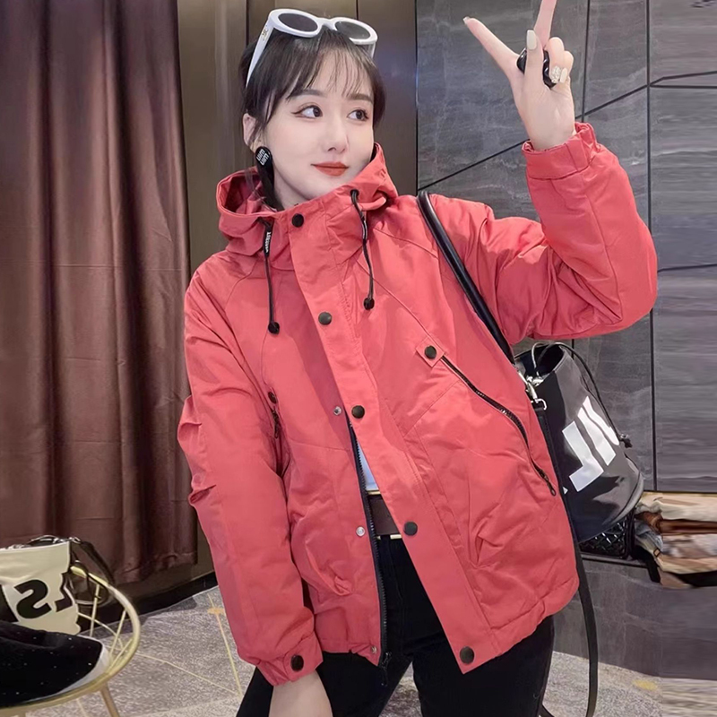 Official picture of hooded short jacket for women in spring and autumn, new hot style work jacket, small and stylish women's clothing