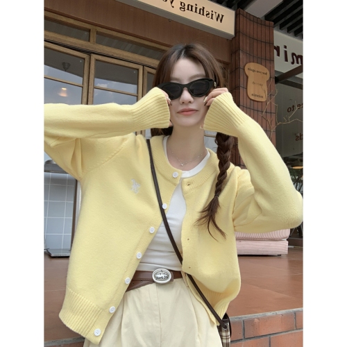 Photo-shoot Korean-style versatile single-button cardigan butterfly embroidery arctic wool knit jacket top