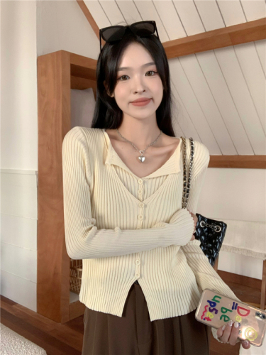 Actual price, fake two-piece long-sleeved sweater for women, niche and chic slim-fitting top