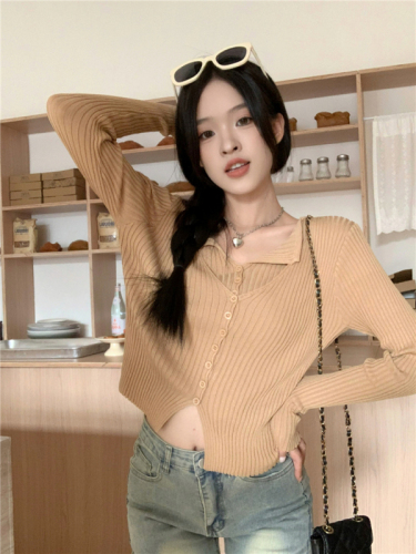 Actual price, fake two-piece long-sleeved sweater for women, niche and chic slim-fitting top