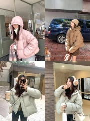 2024 autumn and winter Korean style simple casual hooded zipper stand collar short warm down puffer jacket