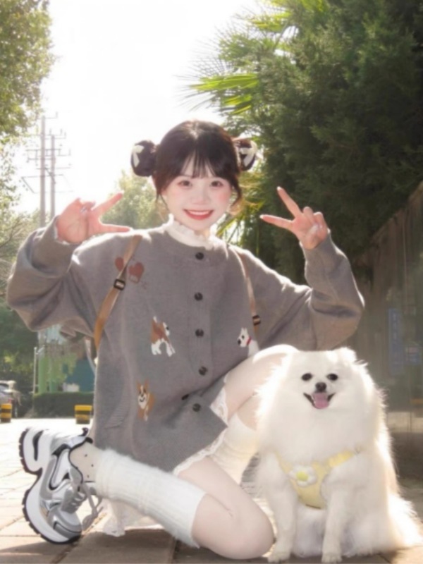 Spring and autumn design gray puppy sweater Korean style cute knitted coat