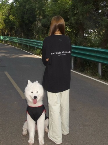 Pure cotton 200 grams 21 count combed precision live broadcast quality before and after printed autumn long-sleeved T-shirt for women