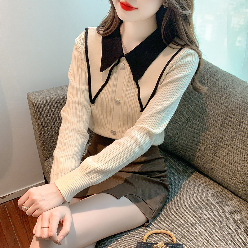 New autumn and winter lapel sweater long-sleeved design niche chic top for women