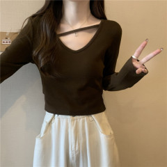 Plus size women's clothing design, flesh-covering long-sleeved thickened plus velvet new puff-sleeved temperament bottoming shirt top